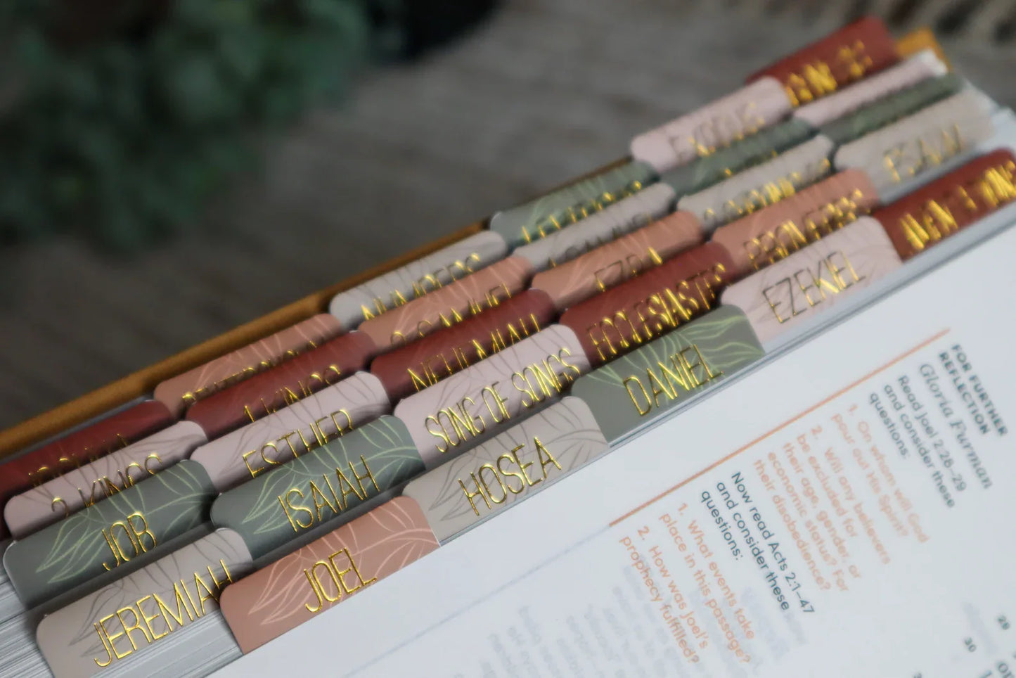 Bible Tabs Earth Tone | Matte-Coated Sticker Tabs