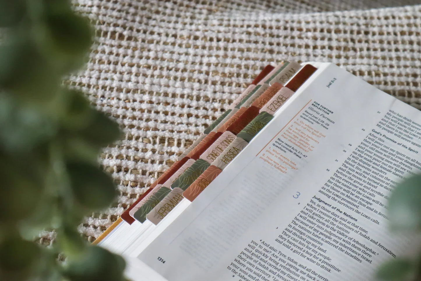 Bible Tabs Earth Tone | Matte-Coated Sticker Tabs